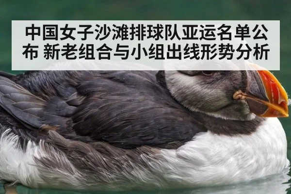 中国女子沙滩排球队亚运名单公布 新老组合与小组出线形势分析
