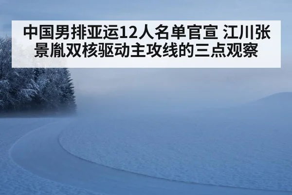 中国男排亚运12人名单官宣 江川张景胤双核驱动主攻线的三点观察